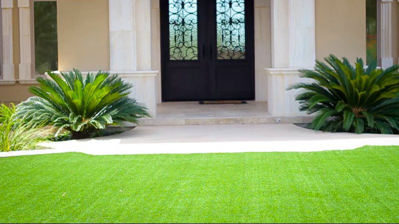 Man made grass residential yard landscape
