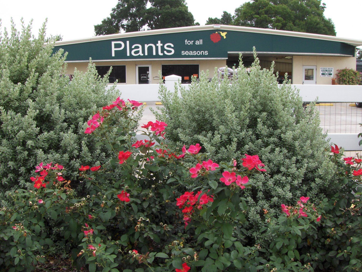 About Plants for all Seasons