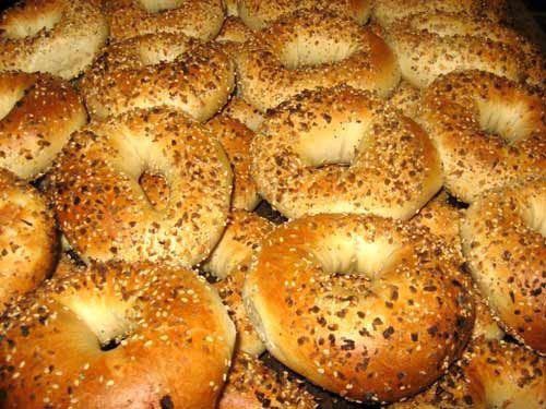 Bagel Oasis