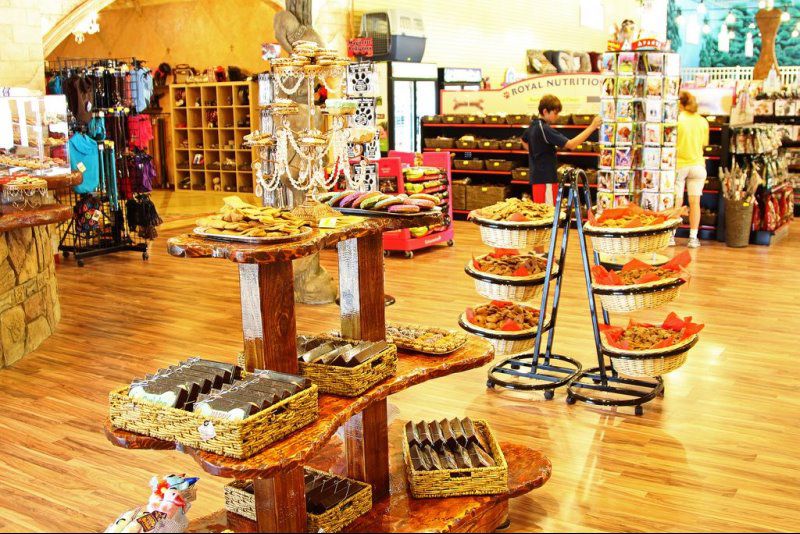 Pet Market Photo Gallery See Our Pet Markets In Central Florida