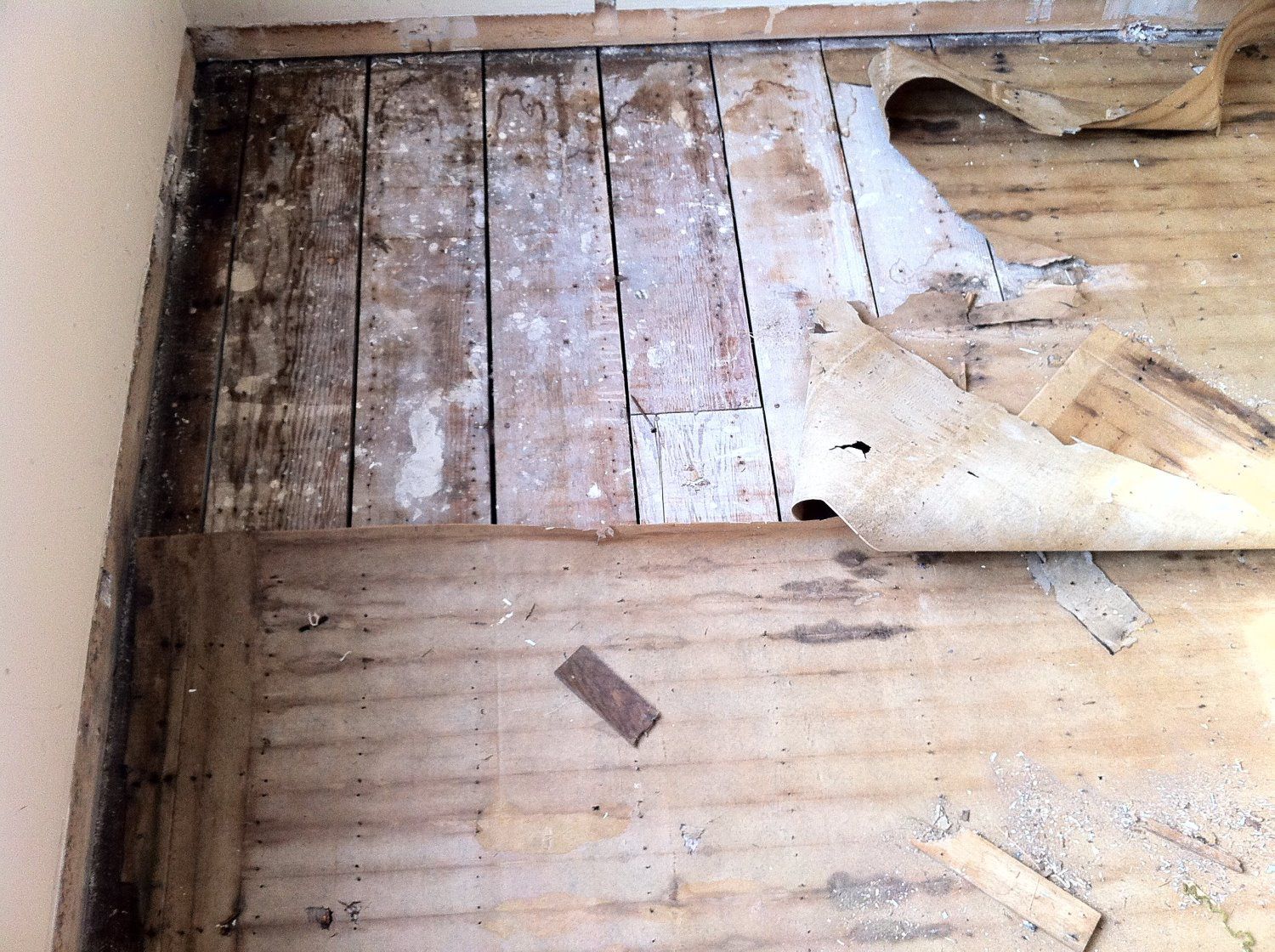 SUBFLOOR - Pet Odor Removal Service