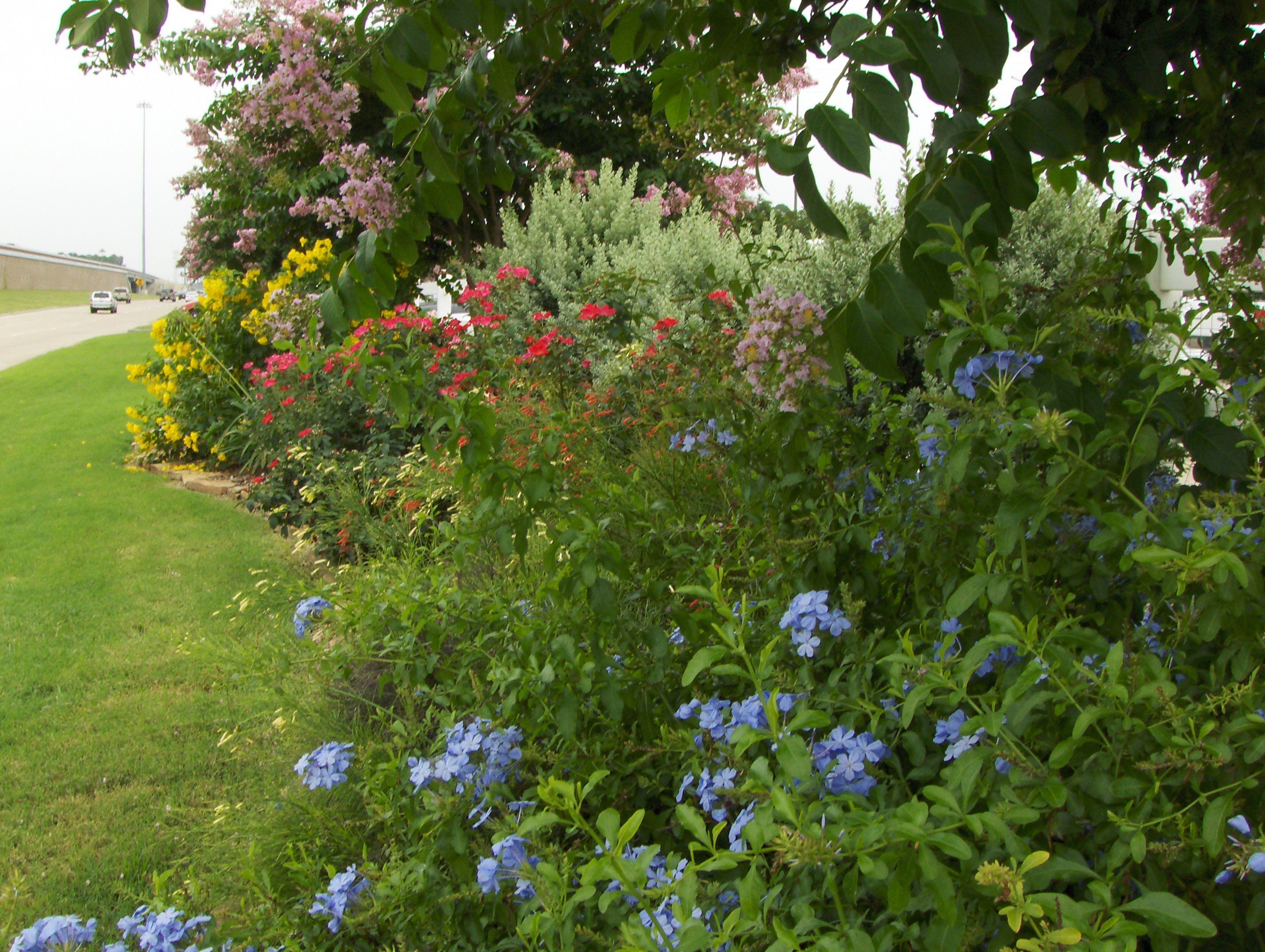 About Plants for all Seasons