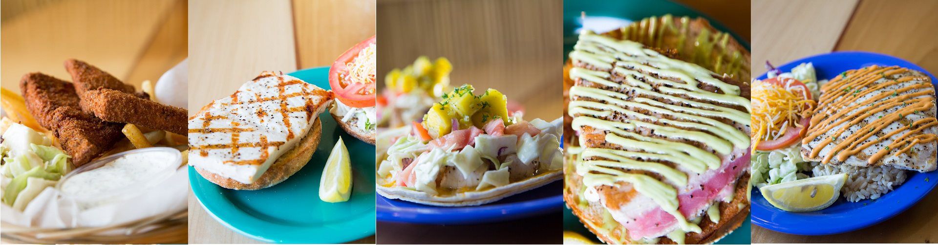 Cafe Locations Coconut's Fish Cafe, LLC