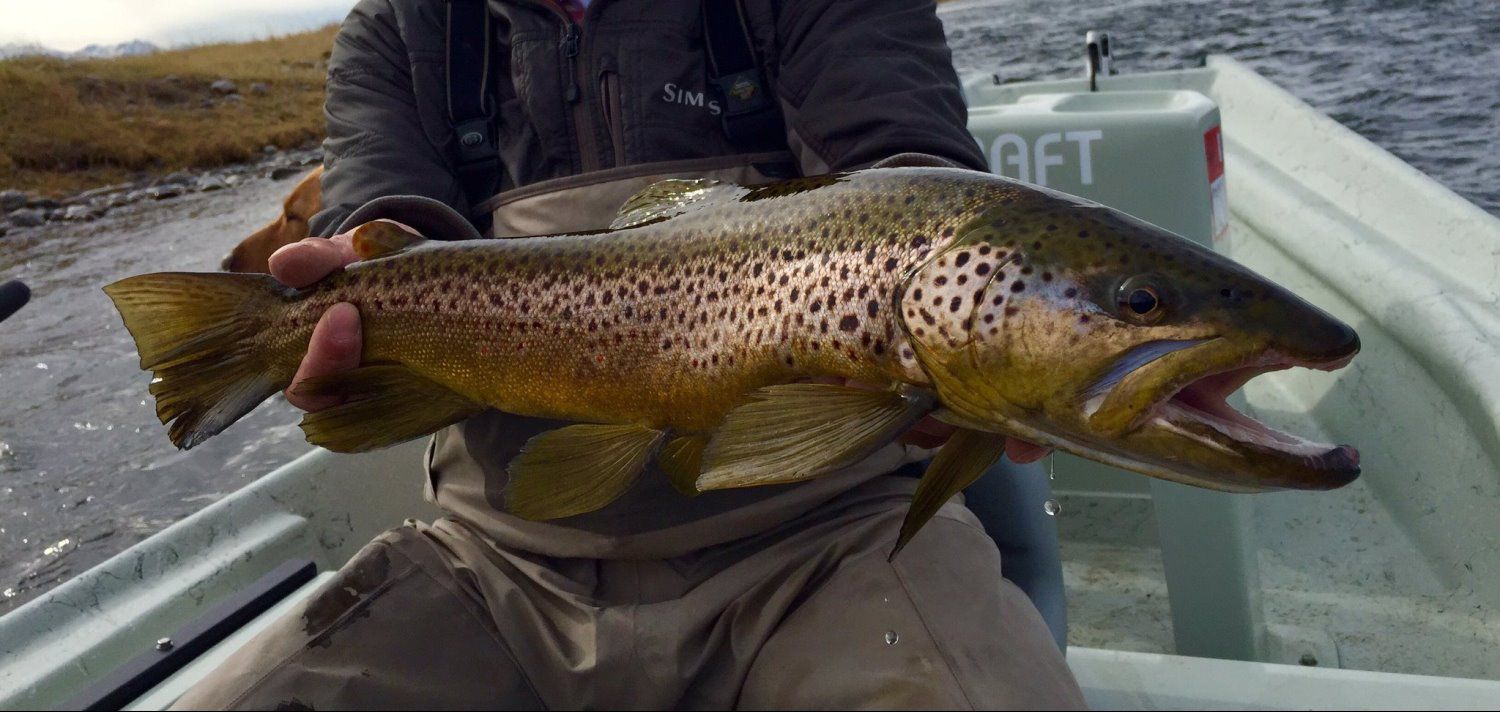 Bozeman Fishing