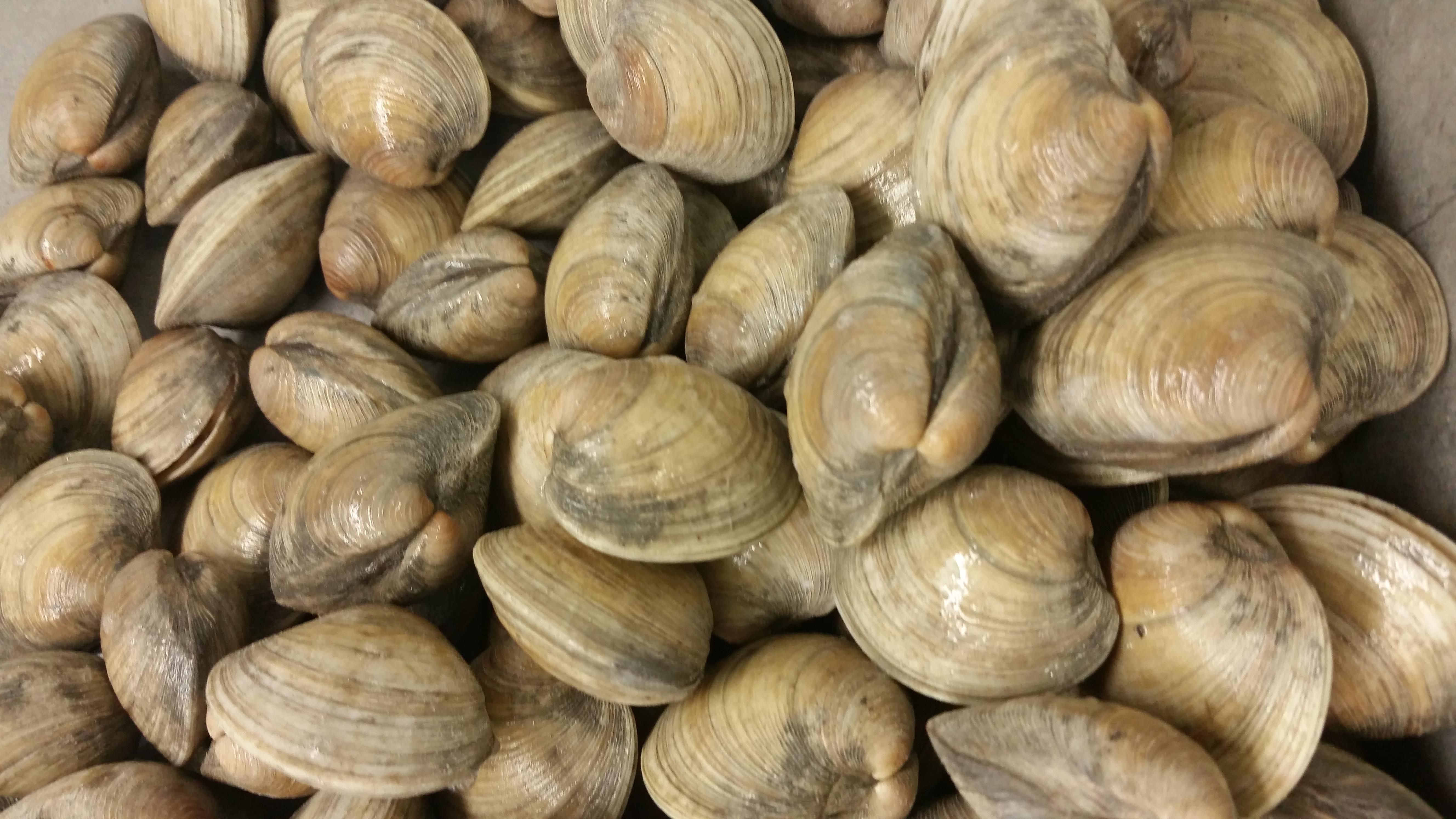 Store Item Profile Martin Fish Co. LLC Ocean City, Maryland 21842