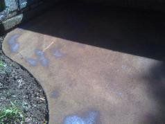 Acid stained patio example (wet)