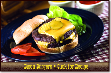 bison burger
