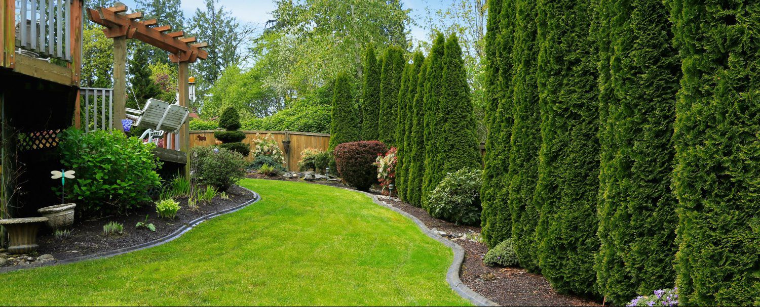 as a full service landscape company in san antonio texas memo s