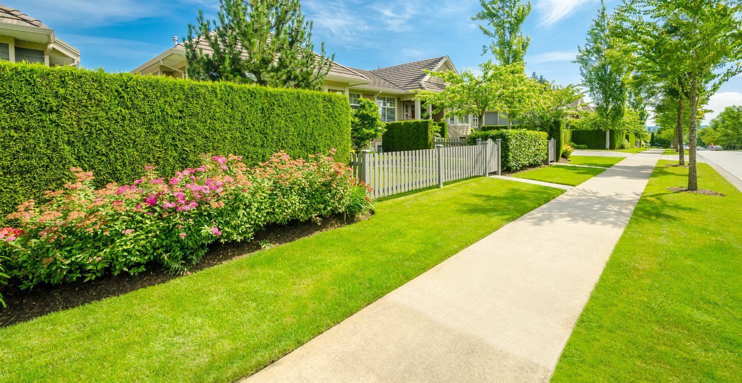 memos landscaping koni polycode co
