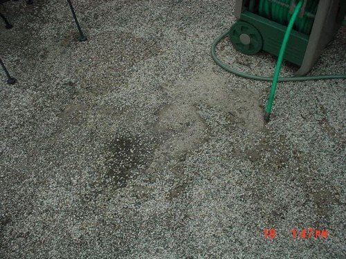 Before Spray Texture