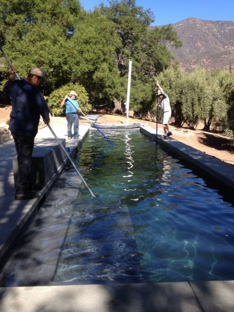 swimming pool construction