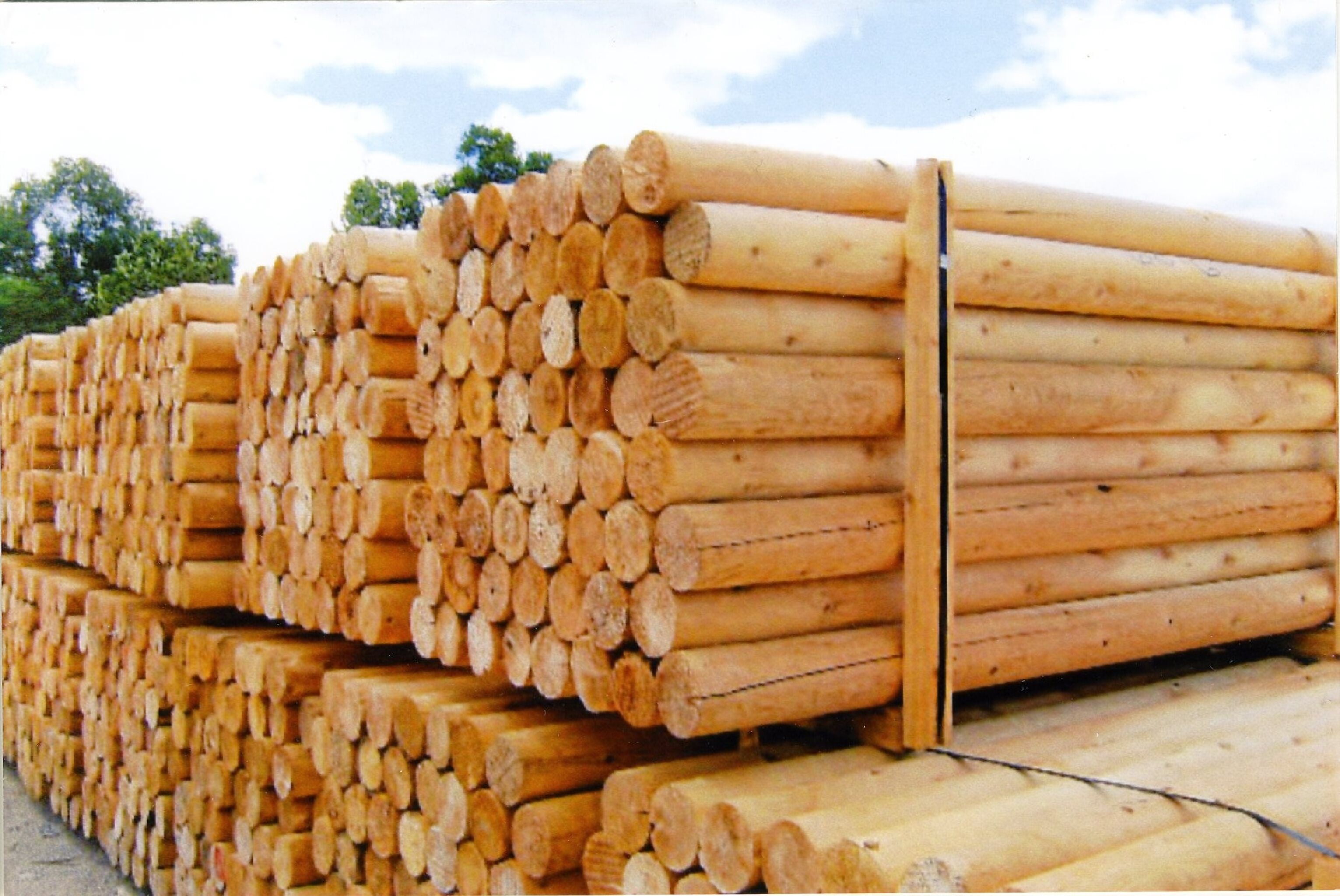 Michigan White Cedar KJP Sales Inc