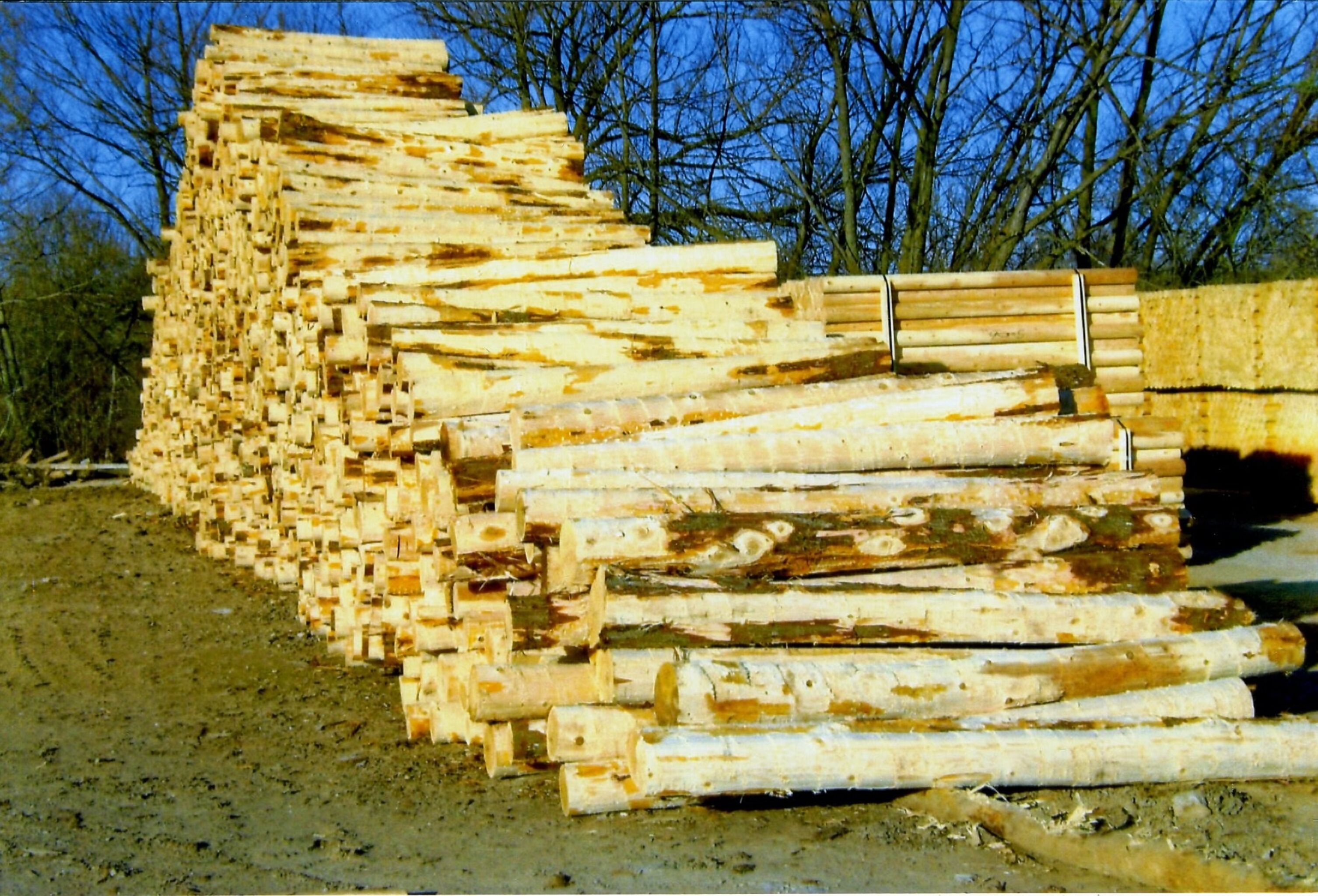 Michigan White Cedar KJP Sales Inc