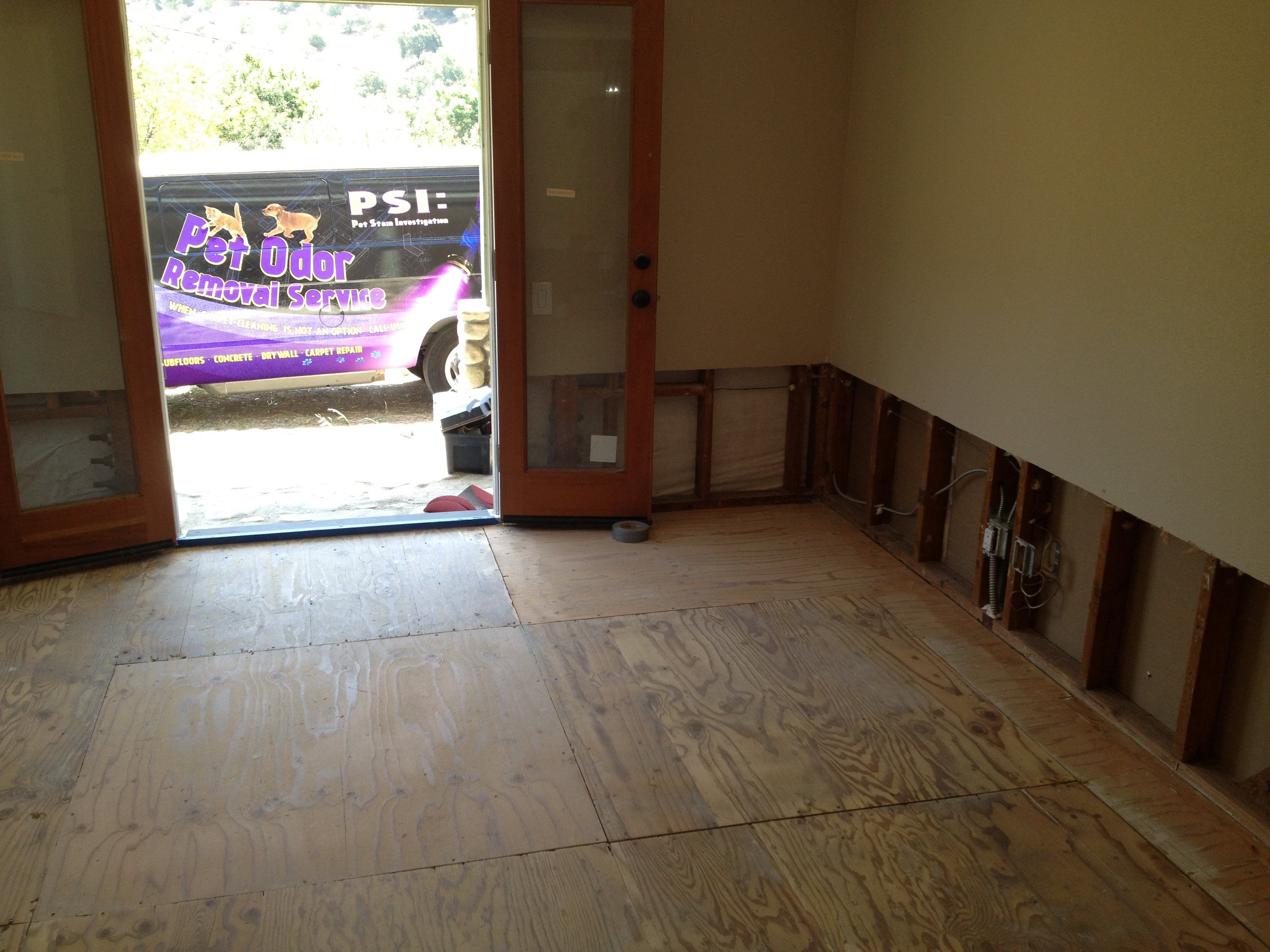 Home Inspection Pet Odor Removal Service