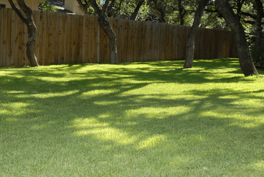as a full service landscape company in san antonio texas memo s