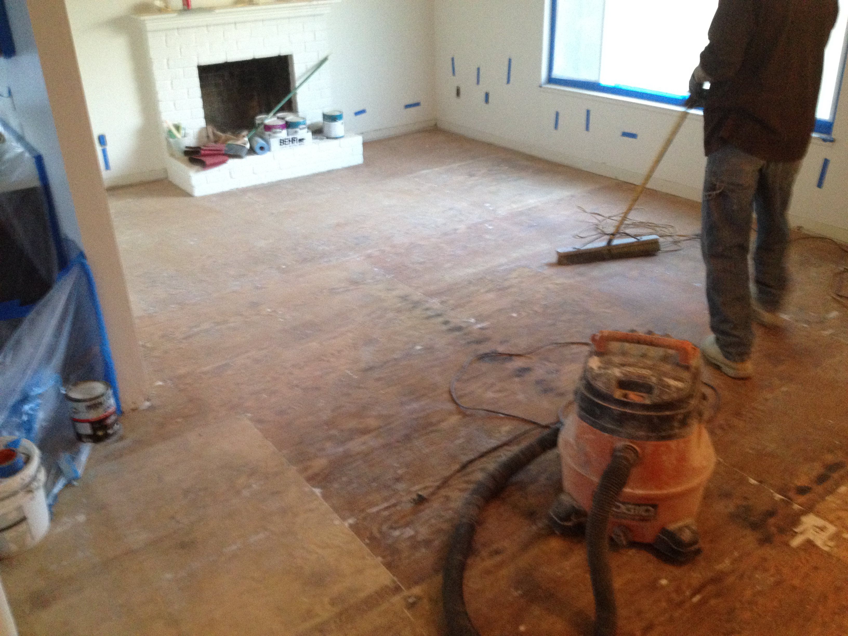 San Francisco County Pet Odor Removal Service