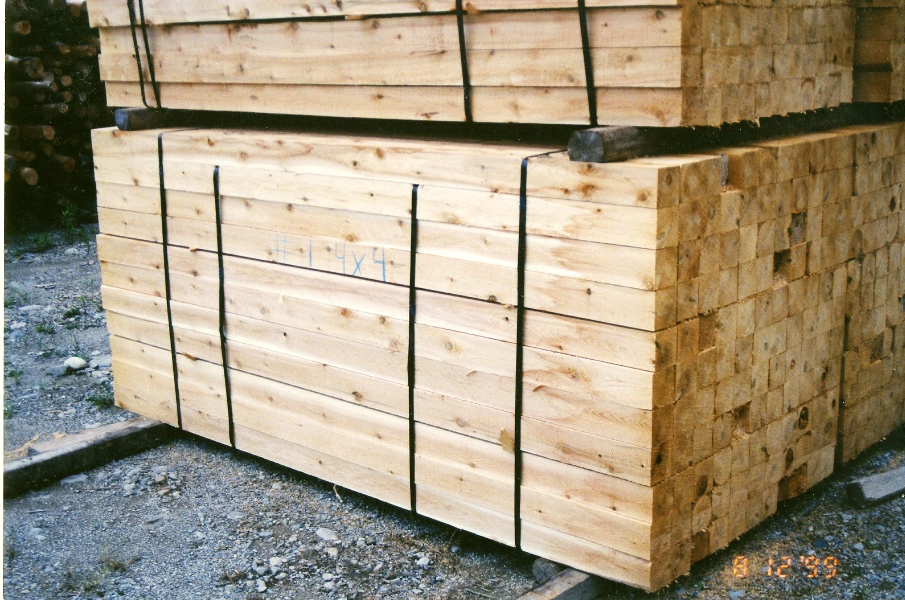 Michigan White Cedar KJP Sales Inc